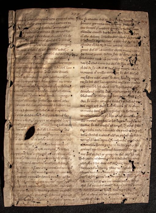 Book of Amos 5:22 – 8:3. Single manuscript leaf C11th