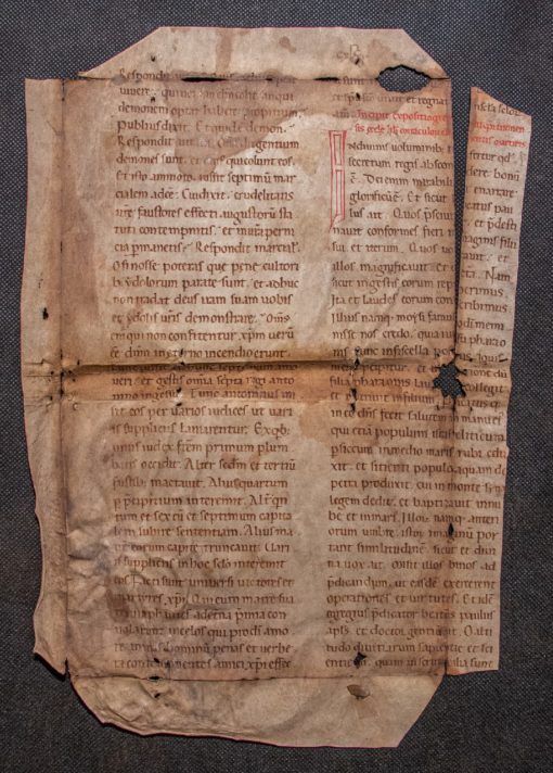 Leaf of Passionale in Latin  [Italy, 12th century, first half] Lives of St Felicity and St Clement