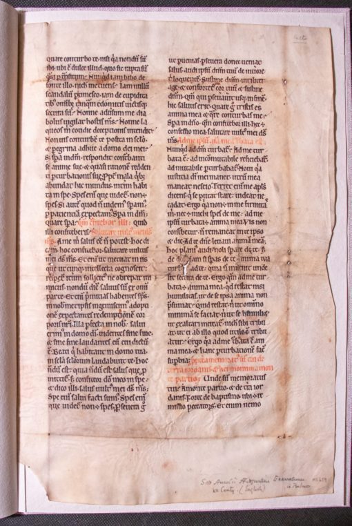 A single leaf; Augustine’s Enarrationes in Psalmos, for Psalm 41:6-8 [manuscript]