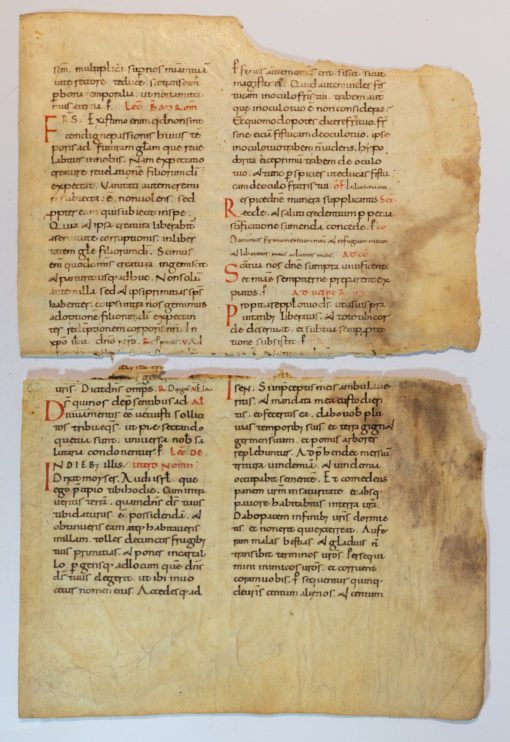 Two very large fragments from leaves of a monumental Gelasian Sacramentary late C10th. / early C11th Italy (?)