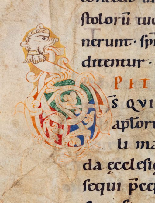 A Romanesque white-vine initial with a zoomorphic design and gorgeous script, C12th.