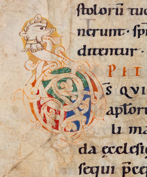 A Romanesque white-vine initial with a zoomorphic design and gorgeous script, C12th.