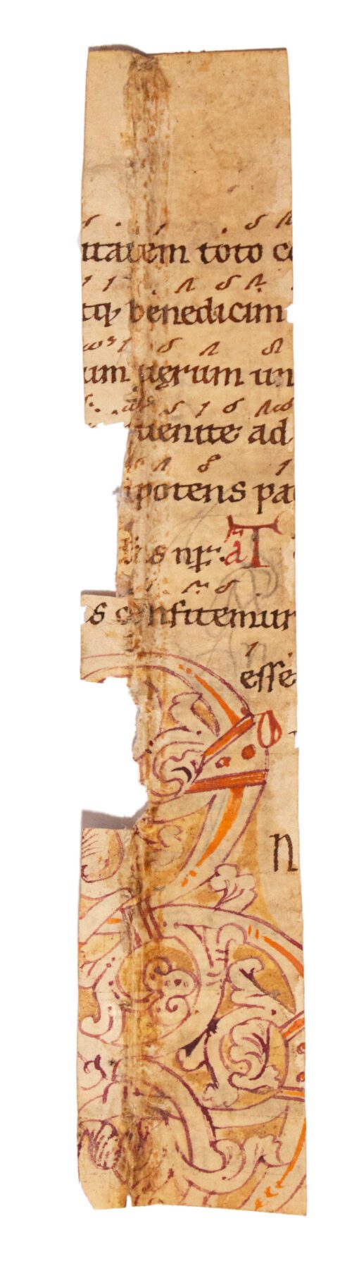 C12th cutting with remains of a coloured initial, Carolingian Lectionary