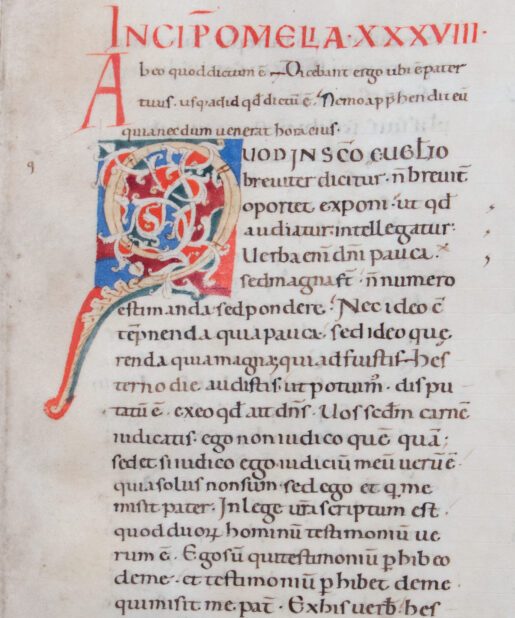 Beautiful painted white vine initial, Augustine’s Commentary on John’s Gospel, Italy C12th