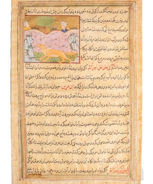 Single leaf from al-Qazvīnī’s Aǧā’ib, a Jackal C16th