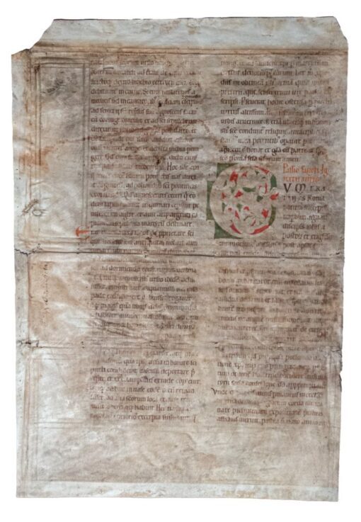 Very large manuscript with white vine initial, German C12th