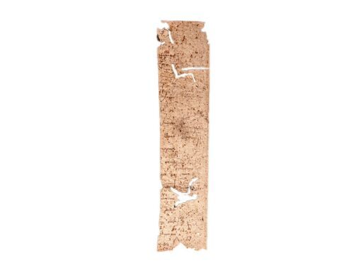 Cicero, Epistolae ad familiares; 5 fragments, Italian C15th